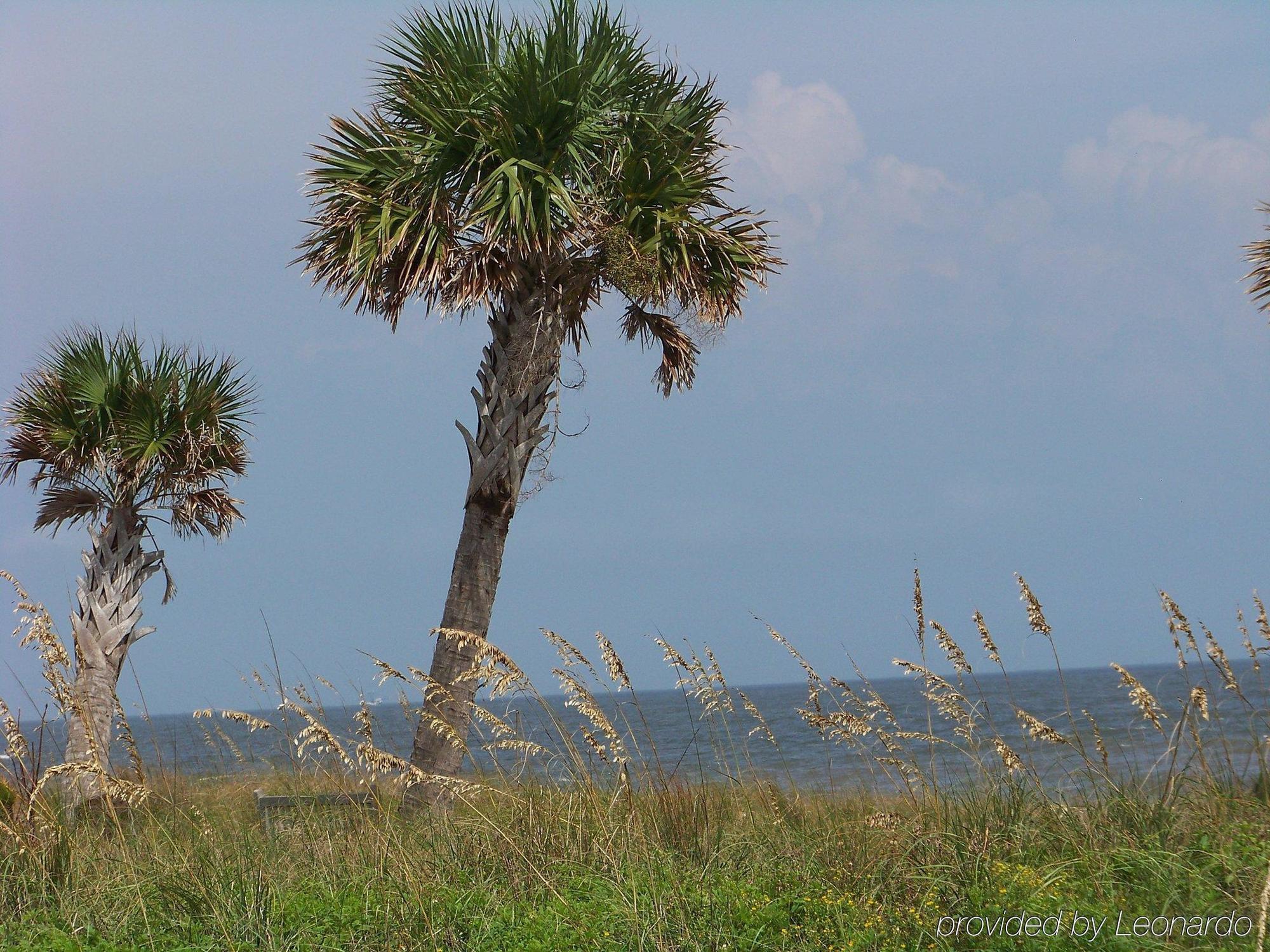 Holiday Inn Express Saint Simons Island By Ihg St. Simons Island Exterior foto